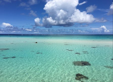 はじめての沖縄移住相談 してみませんか 12月19日 日 東京 個別相談会 移住スカウトサービス Smout スマウト はじめての沖縄移住相談 してみませんか 12月19日 日 東京 個別相談会 移住スカウトサービス Smout スマウト