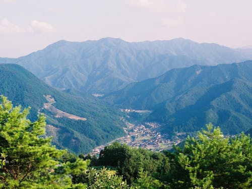 四季折々の風景を楽しめます