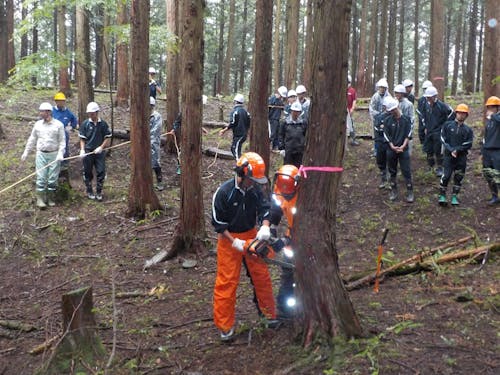 地元高校生と行う「森の健康診断」