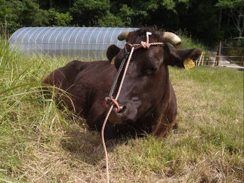 ゆったり気持ちよさそう…