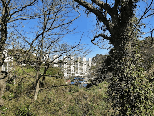 茂みの先にあるシーボニア