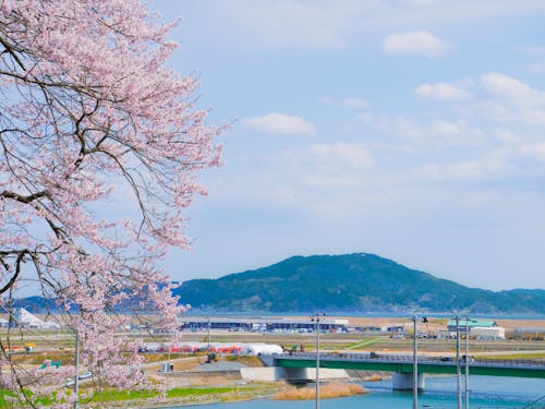 陸前高田の景色