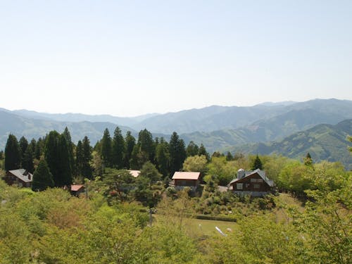 標高800mの高原キャンプ場 池の窪グリーンパーク