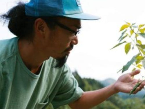 唐辛子農家だけでなく6次加工も手掛ける須田さん。唐辛子をみる眼差しが優しい