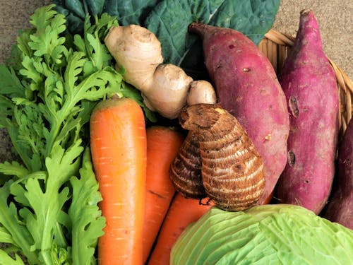 一年間を通じて、美味しい野菜をつくる自信がつきます！