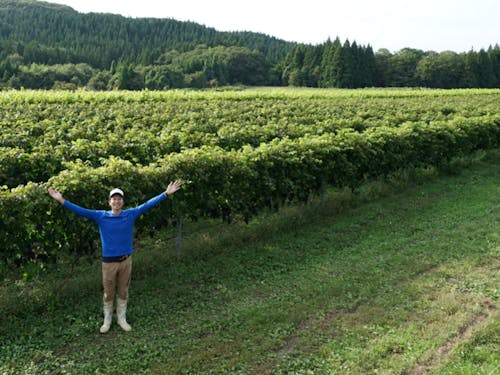 ワイン用ぶどうに取り組む人もいます!