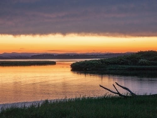 北海道の中でもとりわけ北に位置する、猿払村(さるふつむら)。約590k㎡という広大な土地の8割を山林と原野が占めています。宗谷丘陵を源に、大小多くの河川がオホーツク海に注いでおり、その周囲には湿原と湖沼が広がっています。