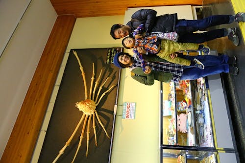 とっとり賀露かにっこ館