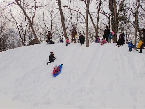 身近な里山里海を活かした自然体験の企画・運営