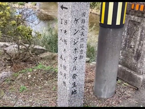 国指定天然記念物ゲンジボタル発生地