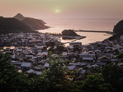 写真提供:bozzoさん(イベントにも参加されます!)