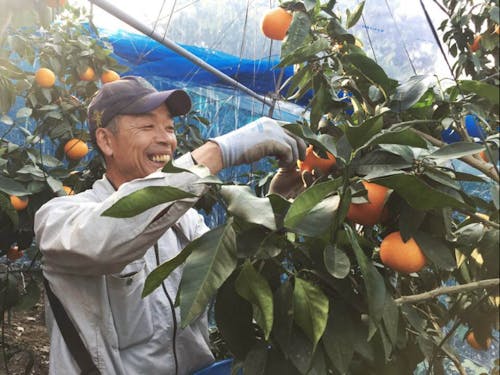 株式会社ふたみファームの橋本さん