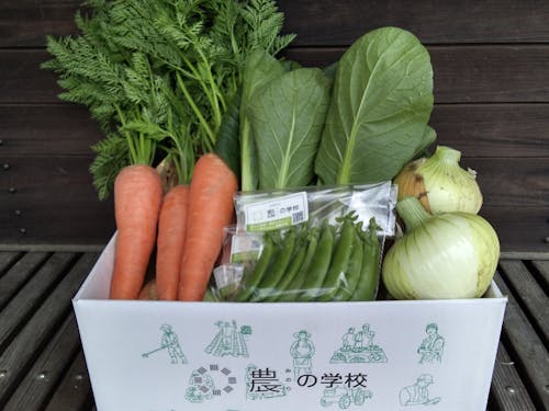 農(みのり)の学校で育てた野菜のセット。通販サイトでも販売中!