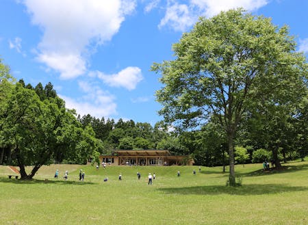 南湖森林公園で自然とふれあうことも