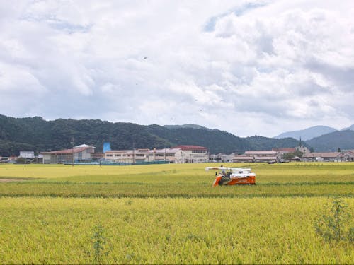 田園の奥には、役場と幼稚園、小中学校。