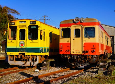 大多喜駅の車庫の写真です。左側が主に普通列車として走っている菜の花カラーの車両です。右側が旧国鉄型車両で昭和の観光列車として活躍している車両です。