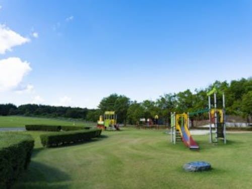 広々とした公園や