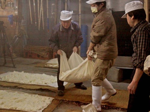 働き先の1つである、桜川酒造での仕込み仕事の様子