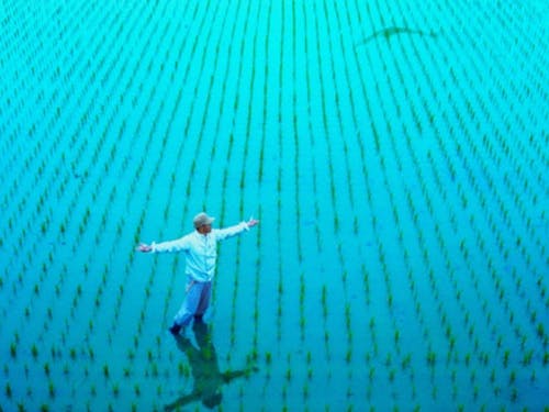 コウノトリの「いのち」を育む豊岡市