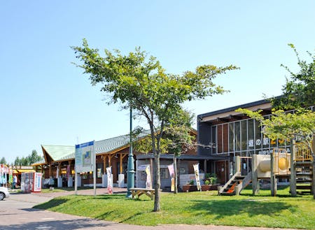 道の駅230ルスツは広い駐車場と広大な公園も併設しています。