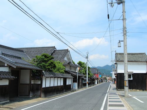 見ただけでは分からないことは、交流会で聞いて語って!