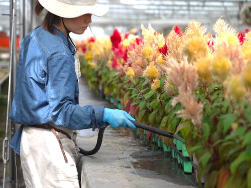 アルバイトで入っている20代の女性