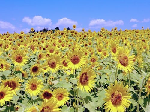 お気に入りの場所や……