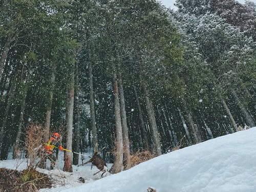 旦那たじりくんは猟師!見学もできます