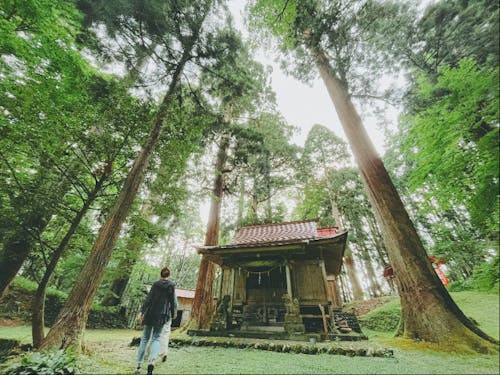 小代にある神社。マイナスイオンをかんじます。