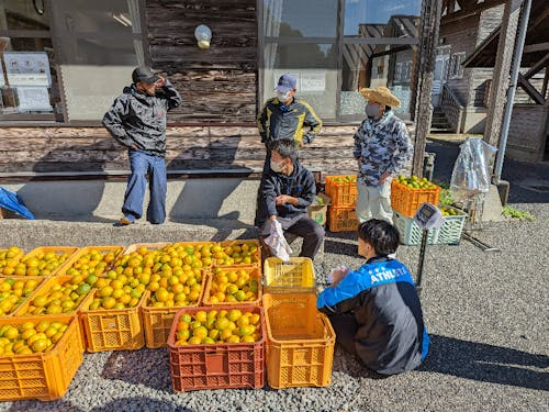 すだいだいプロジェクト2021!