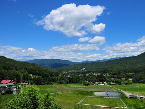 Village OMOYAがある集落