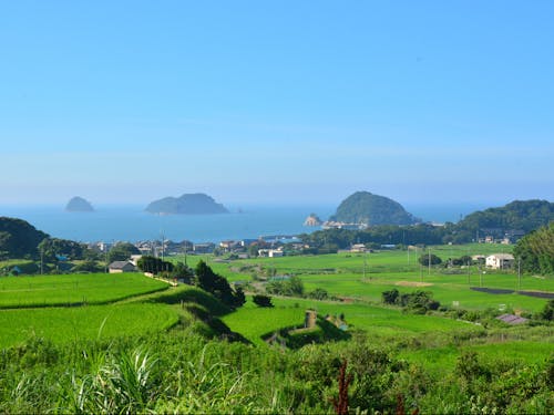 舞鶴市三浜地区の景色 棚田と海がきれいです 釣りも楽しめます