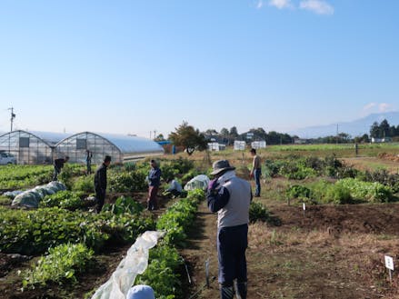 町民菜園で気軽に農ある暮らし♪