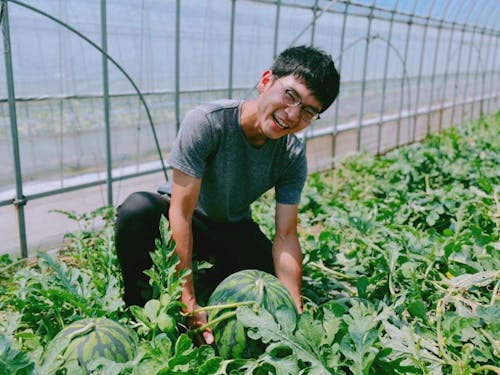 一年目の新米農家の大原さん。現地からフレッシュなスイカの今をお届け!
