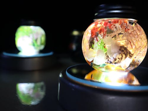 地元の子どもたちと作成した海のハーバリウム