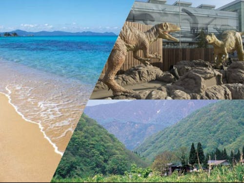 海あり、山あり、恐竜あり、福井県