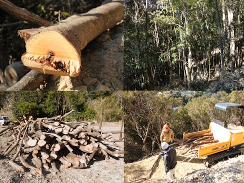 林業の様子