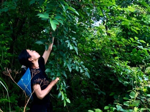 【國本紗季】自然や農、物づくりなどの体験事業を行っている。