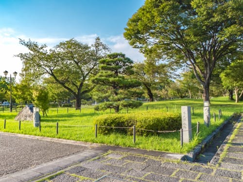 静岡・駿府城公園