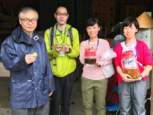 【体験ツアー】さつま町の特産品「南高梅」を収穫!