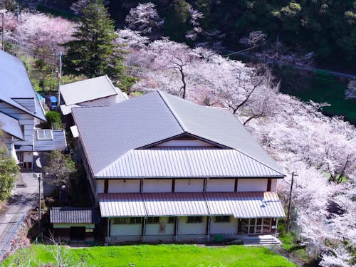 春は施設の周り一面の桜が広がる、桜の名所として知られる