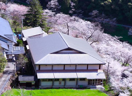 春は施設の周り一面の桜が広がる、桜の名所として知られる