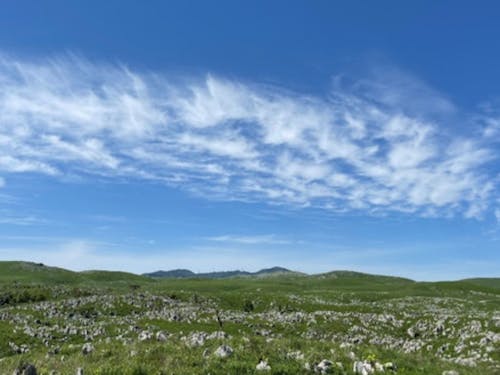 日本最大級のカルスト台地「秋吉台」