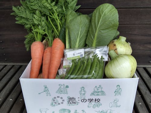 農（みのり）の学校で育てた野菜のセット。通販サイトでも販売中！