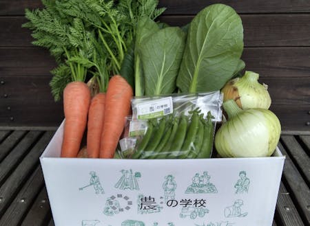 農(みのり)の学校で育てた野菜のセット。通販サイトでも販売中!