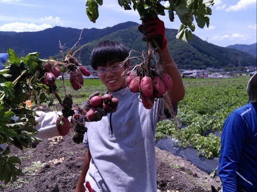 たわわな収穫が嬉しい！