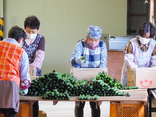 中山間地域では農業が盛んです!お母さんたちは超元気!