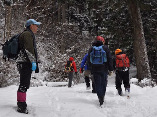 「御船の滝」氷爆ツアー