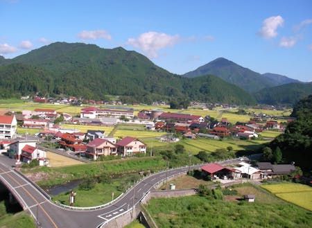 新庄村中心部、上空からの眺め