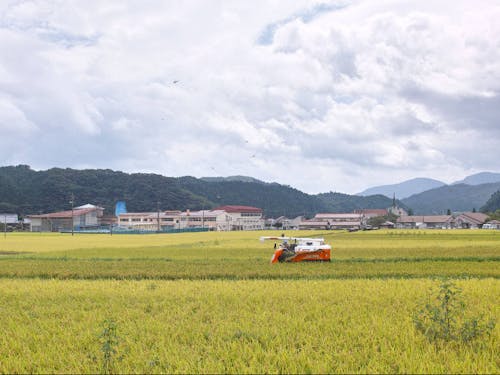 田園の奥には、役場と幼稚園、小中学校。